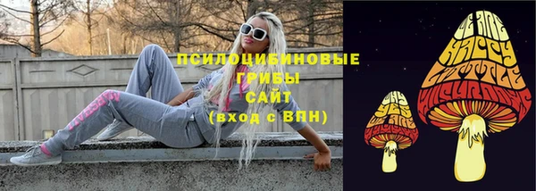 spice Алзамай
