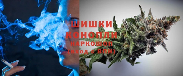 spice Алзамай
