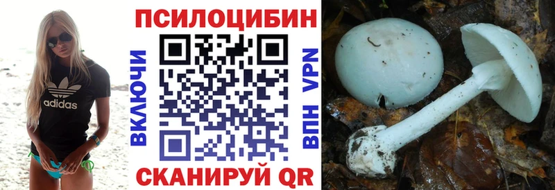 Псилоцибиновые грибы MAGIC MUSHROOMS где купить наркотик Сураж
