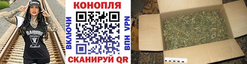МАРИХУАНА сатива Сураж